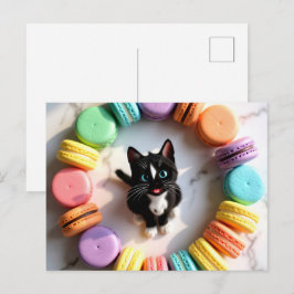 カラフルなマカロンに囲まれたキュートな誕生日の猫 - スイート ポストカード