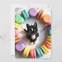 カラフルなマカロンに囲まれたキュートな誕生日の猫 - スイート 招待状