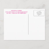 カラフルなマトラチャ、パインアイランド、フロリダ ポストカード (裏面)