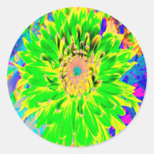 カラフルなライムグリーンと黄色のダリアの花