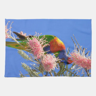 カラフルなレインボーロリキートの鳥が花の蜜を食べている キッチンタオル