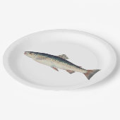 カラフルなヴィンテージのサケのイラストレーション ペーパープレート (アングル)