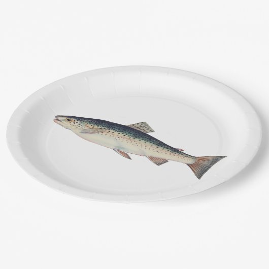 カラフルなヴィンテージのサケのイラストレーション ペーパープレート (アングル)