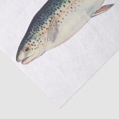 カラフルなヴィンテージのサケのイラストレーション 薄葉紙 (詳細)