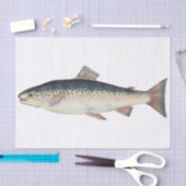カラフルなヴィンテージのサケのイラストレーション 薄葉紙 (クラフト)