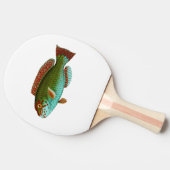 カラフルなヴィンテージの魚 卓球ラケット (横)