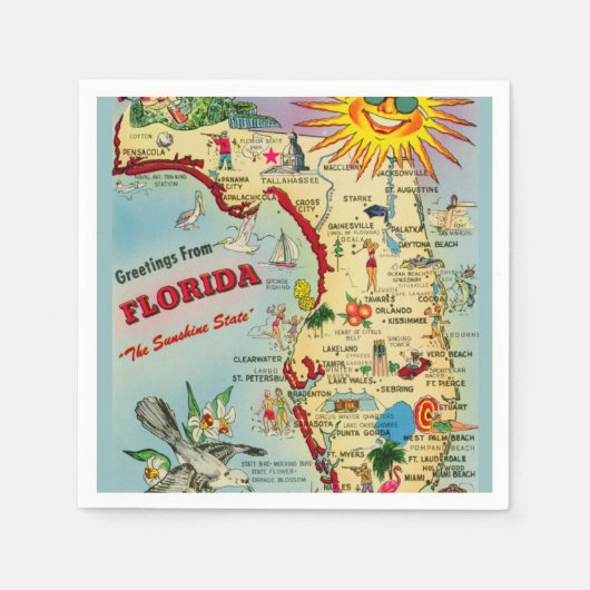 カラフルなヴィンテージ フロリダ マップ スタンダードカクテルナプキン (正面)