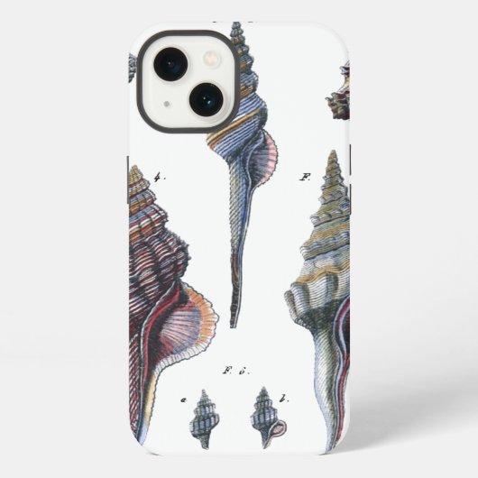 カラフルな七つの海の貝 iPhoneケース (裏面)