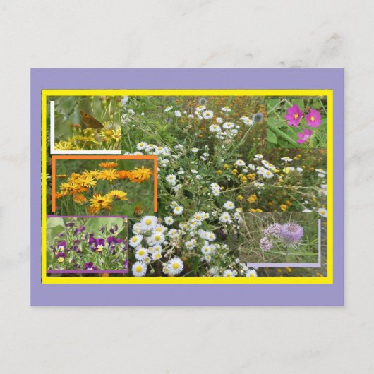 カラフルな七月の花DIYポストカード シーズンポストカード (正面)