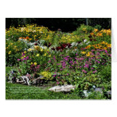 カラフルな中間の夏の庭 (正面横)