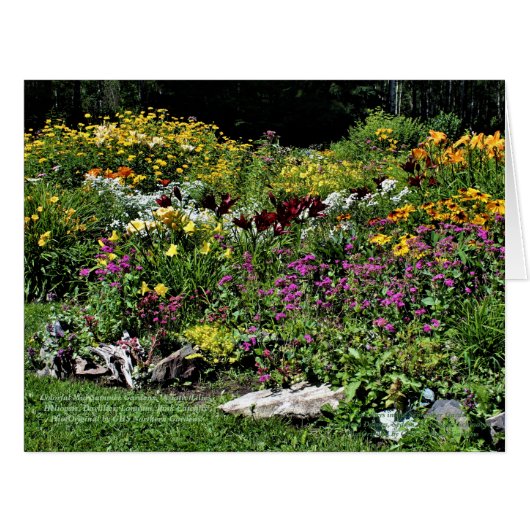 カラフルな中間の夏の庭 (正面横)