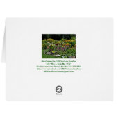 カラフルな中間の夏の庭 (裏面横)