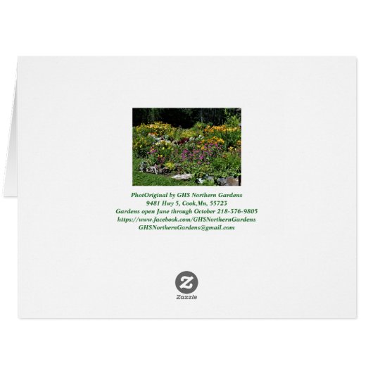 カラフルな中間の夏の庭 (裏面横)