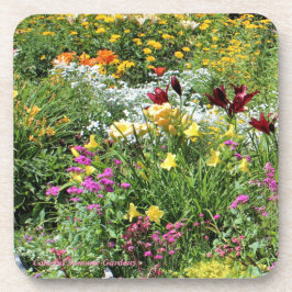 カラフルな中間の夏の庭! コースター