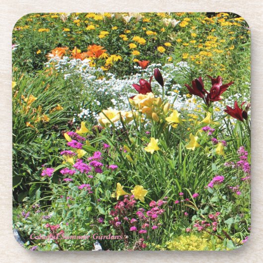 カラフルな中間の夏の庭! コースター (正面)