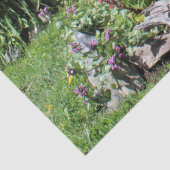 カラフルな中間の夏の庭! 薄葉紙 (詳細)