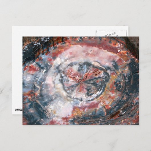 カラフルな化石になった木の写真 ポストカード (正面/裏面)