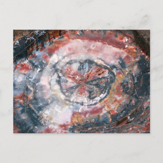 カラフルな化石になった木の写真 ポストカード (正面)