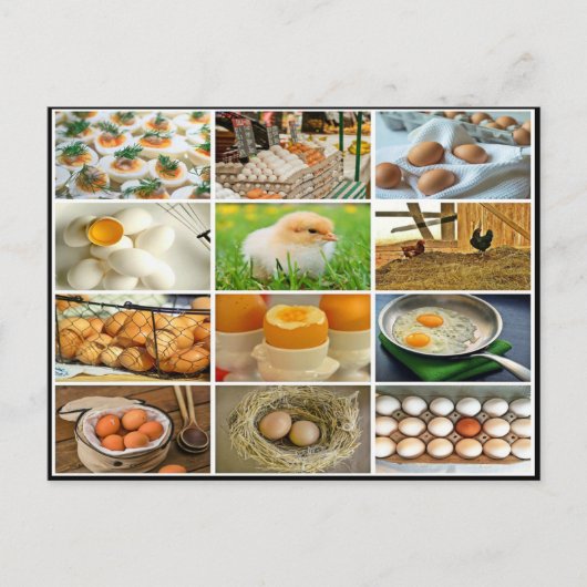 カラフルな卵のひよこ製品のコラージュ ポストカード (正面)