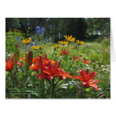 カラフルな夏の終わりの庭 (正面横)