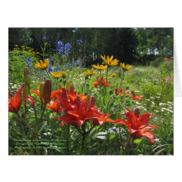 カラフルな夏の終わりの庭