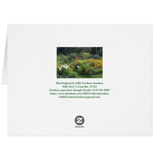 カラフルな夏の終わりの庭 (裏面横)