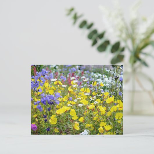 カラフルな夏の野の花 ポストカード (スタンド正面)