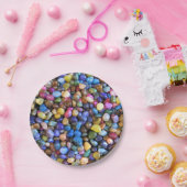 カラフルな多彩の小石 ペーパープレート (パーティー)