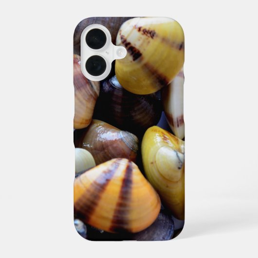 カラフルな小さな二枚貝の貝殻 iPhone 16ケース (裏面)