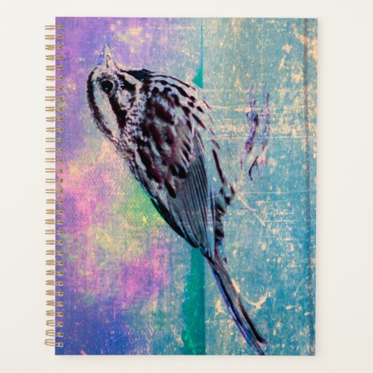 カラフルな抽象的な鳥のアート: 鮮やかな小鳥 プランナー手帳 (正面)