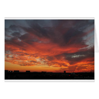 カラフルな日没