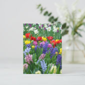 カラフルな春の花園 ポストカード (スタンド正面)