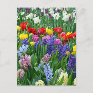 カラフルな春の花園 ポストカード