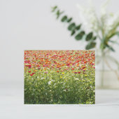 カラフルな春の花 ポストカード (スタンド正面)