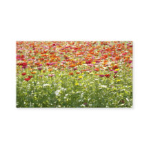カラフルな春の花