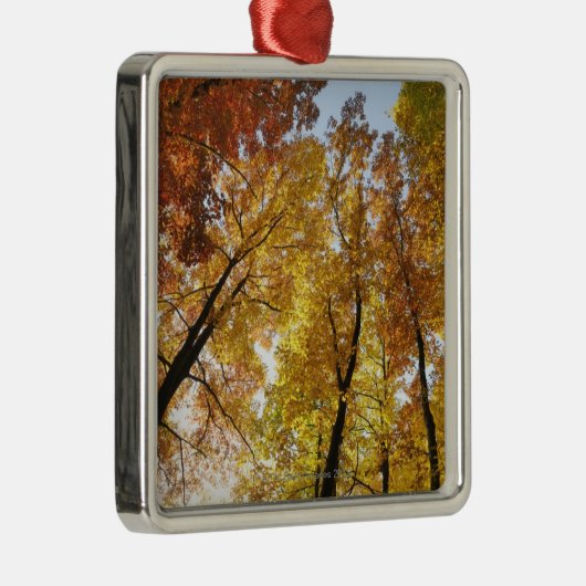 カラフルな木 メタルオーナメント (右)