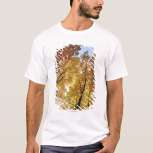カラフルな木 Tシャツ