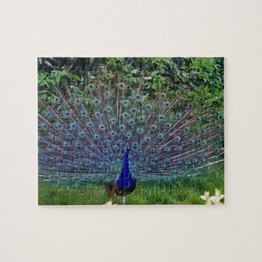 カラフルな模様の鳥孔雀アートインドの宿命 ジグソーパズル (横)