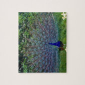 カラフルな模様の鳥孔雀アートインドの宿命 ジグソーパズル (縦)
