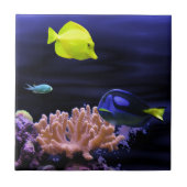カラフルな熱帯魚 タイル (正面)
