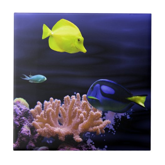 カラフルな熱帯魚 タイル (正面)