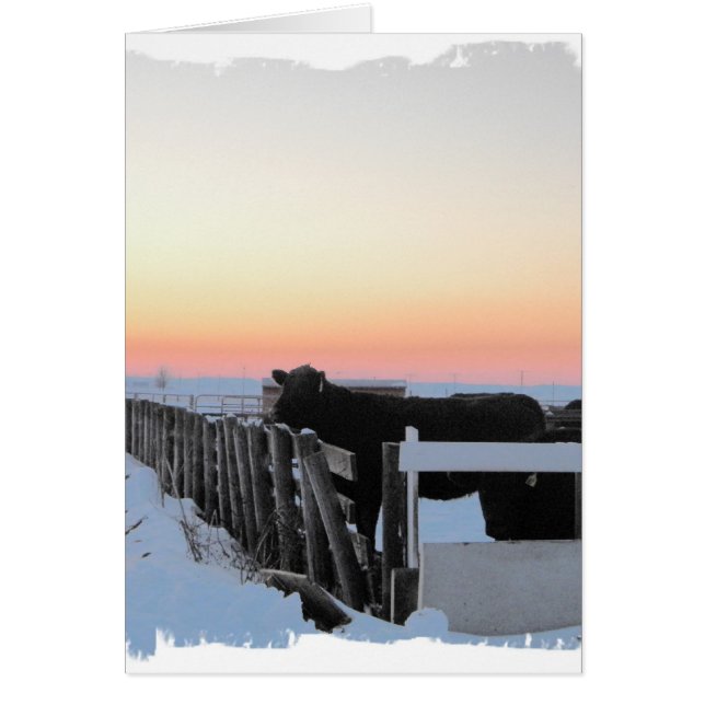 カラフルな牛 (正面)