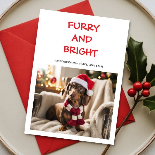 カラフルな犬のクリスマスカード Furry & Bright シーズンカード