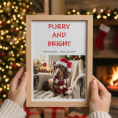 カラフルな犬のクリスマスカード Furry & Bright シーズンカード