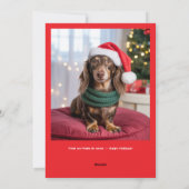 カラフルな犬のクリスマスカード Furry & Bright シーズンカード (裏面)