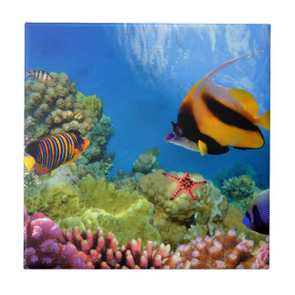 カラフルな珊瑚及び熱帯魚 タイル