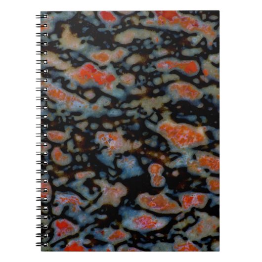 カラフルな珪化恐竜の骨 ノートブック (正面)