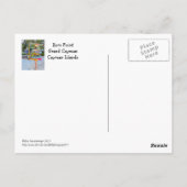 カラフルな看板（国名） ラムポイント、グランドケイマン ポストカード (裏面)