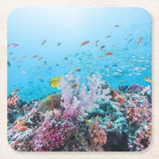 カラフルな礁および珊瑚とのスキューバダイビング スクエアペーパーコースター (正面)