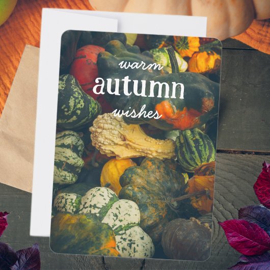 カラフルな秋のスカッシュとパンプキン シーズンカード